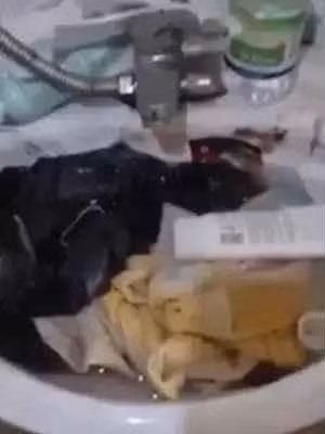 Ngoài ra, bồn rửa mặt, bồn cầu đều bị tắc nghẽn bởi đủ thứ vật dụng khác nhau, lại còn cáu bẩn, ố vàng như cả năm rồi không cọ rửa.