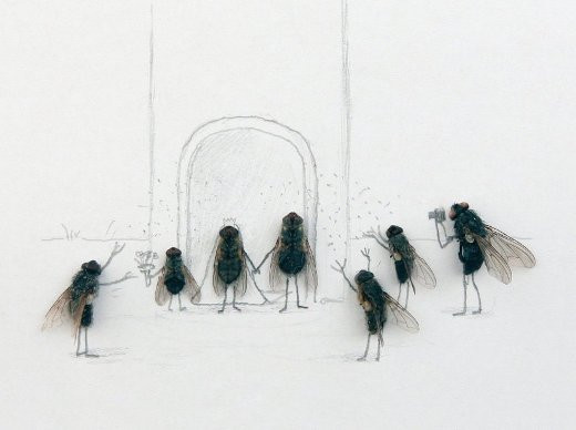 Đám cưới ruồi....