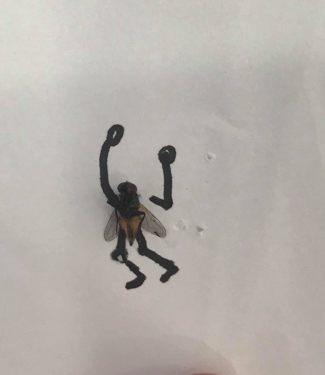 Thậm chí, nhiều người còn để lại ý kiến cho rằng phen này quyết định "xanh chín" và sẽ thử "xử đẹp" những chú ruồi rồi học theo anh chàng trên.