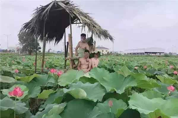 Câu chuyện hội anh em chụp ảnh bên hồ sen trở thành tâm điểm của sự chỉ trích khi một nhóm thanh niên lại gây tranh cãi khi cởi sạch.