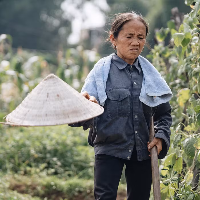 Nếu như bà Tân gắn liền với công việc đồng áng thì bác Tuyết cũng không ngoại lệ. Thậm chí bác Tuyết còn từng đi bán đồng nát, làm lao công dọn vệ sinh.