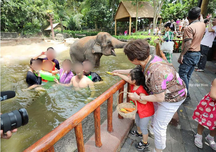 Trước sự nhiệt tình của cộng đồng mạng qua các bức ảnh, nhiều người đã "ngả mũ" bái phục.