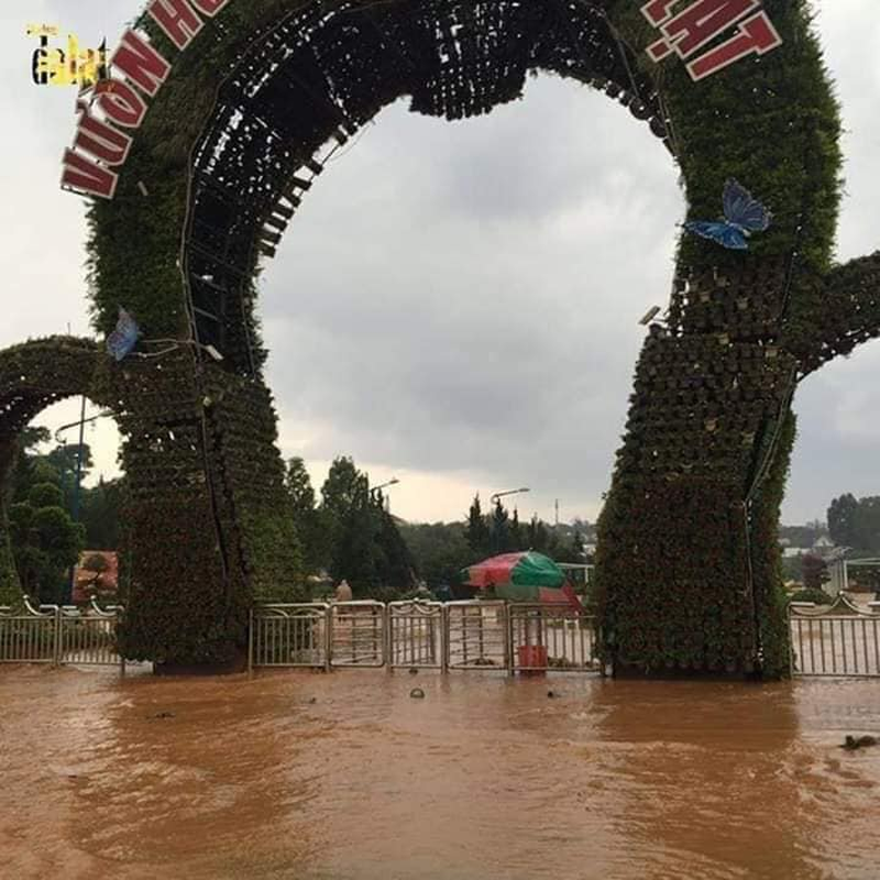 Đặc biệt, tháng 7 hiện tại được xem là bắt đầu mùa mưa đỉnh điểm tại Đà Lạt.