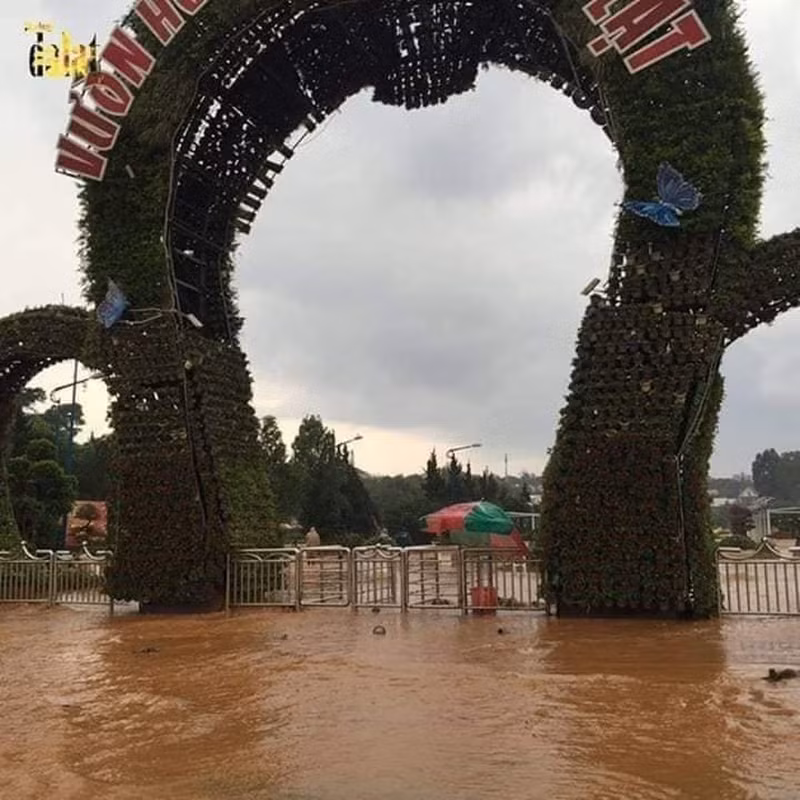 Đặc biệt, tháng 7 hiện tại được xem là bắt đầu mùa mưa đỉnh điểm tại Đà Lạt.