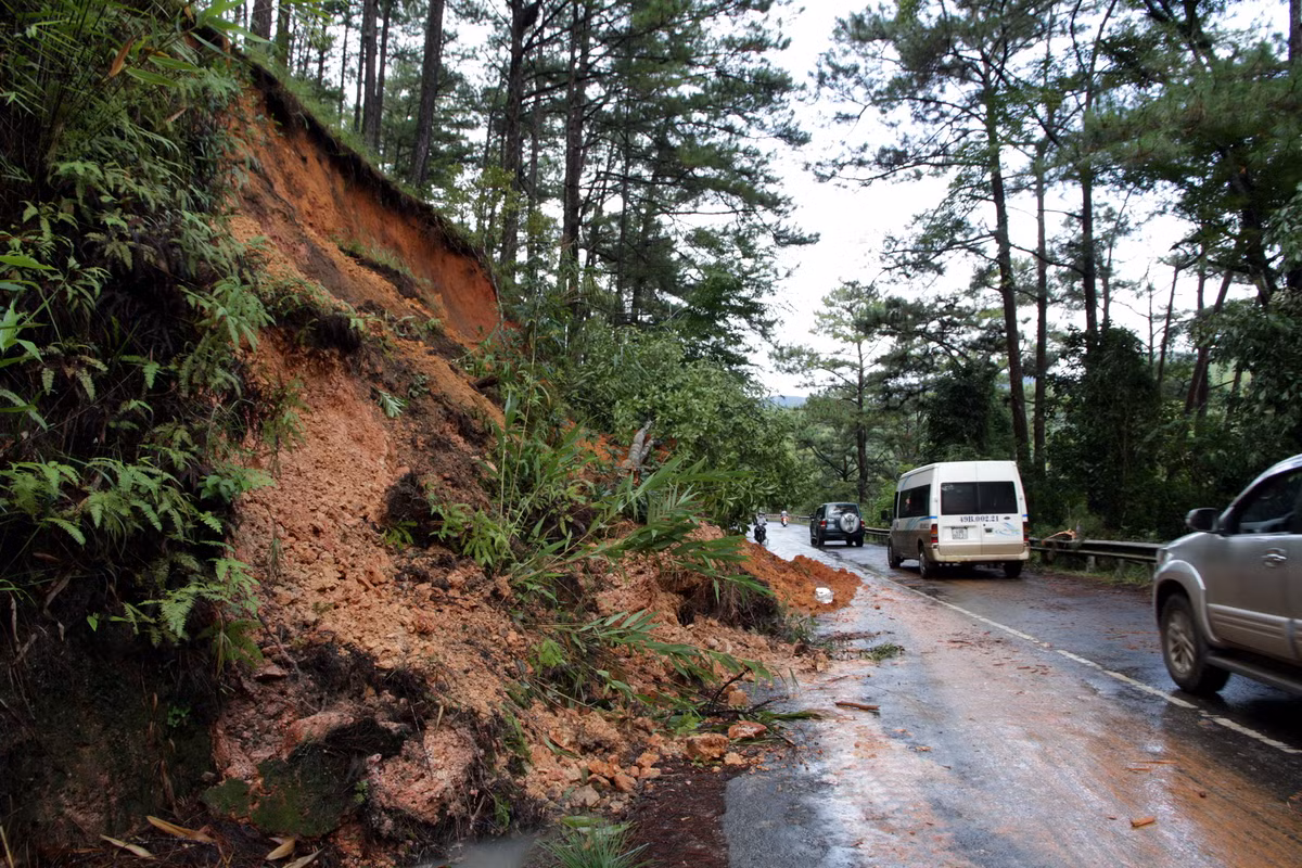 Chứng kiến cảnh Đà Lạt tan hoang, nhiều netizen không khỏi tiếc nuối.