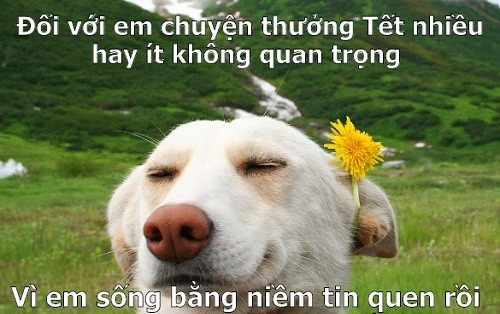 Thực tế trong nhiều năm qua, không ít các doanh nghiệp thưởng Tết cho người lao động bằng nhiều hình thức khác như: Cổ phiếu, các tài sản như ô tô, xe máy... hay những chuyến tham quan du lịch.