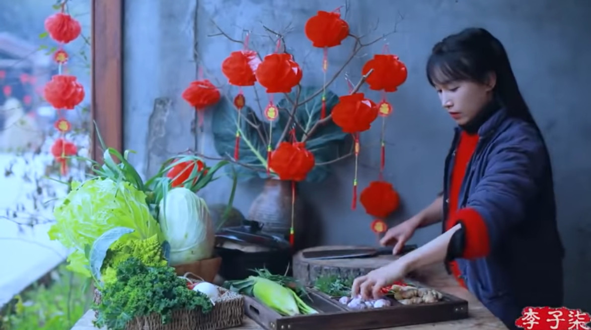 Theo đó, lý do Lý Tử Thất dừng hoạt động Youtube còn vướng bận việc học, chưa có thời gian cân bằng giữa công việc và cuộc sống của chính mình.