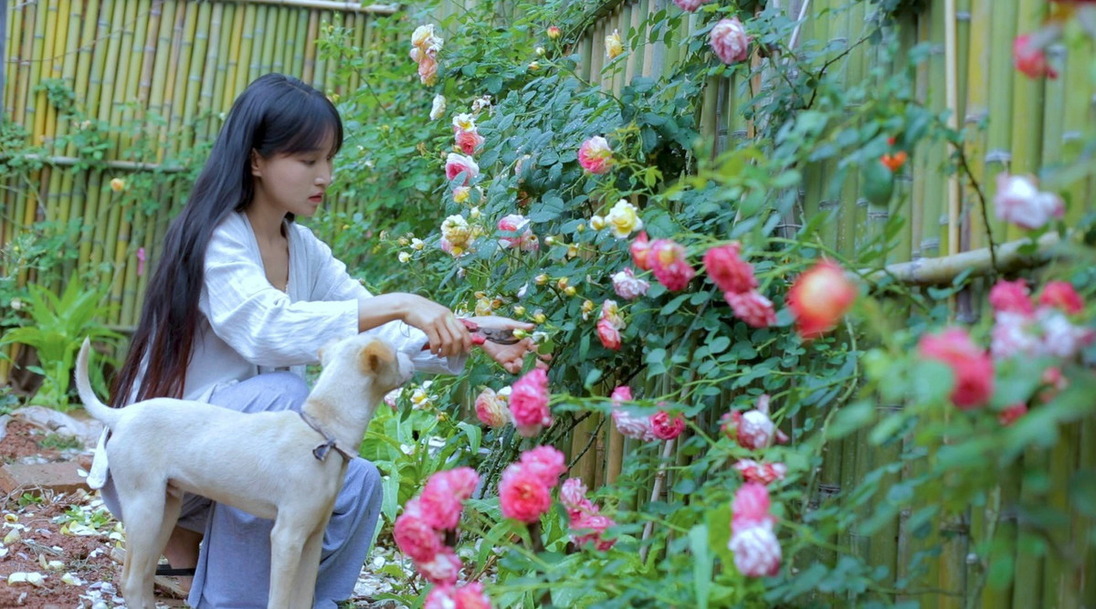 Lý Tử Thất là hot Youtuber với kênh chuyên làm clip về ẩm thực. Hiện tại kênh Youtube của cô sở hữu lượt người theo dõi khủng lên đến 14,6 triệu.