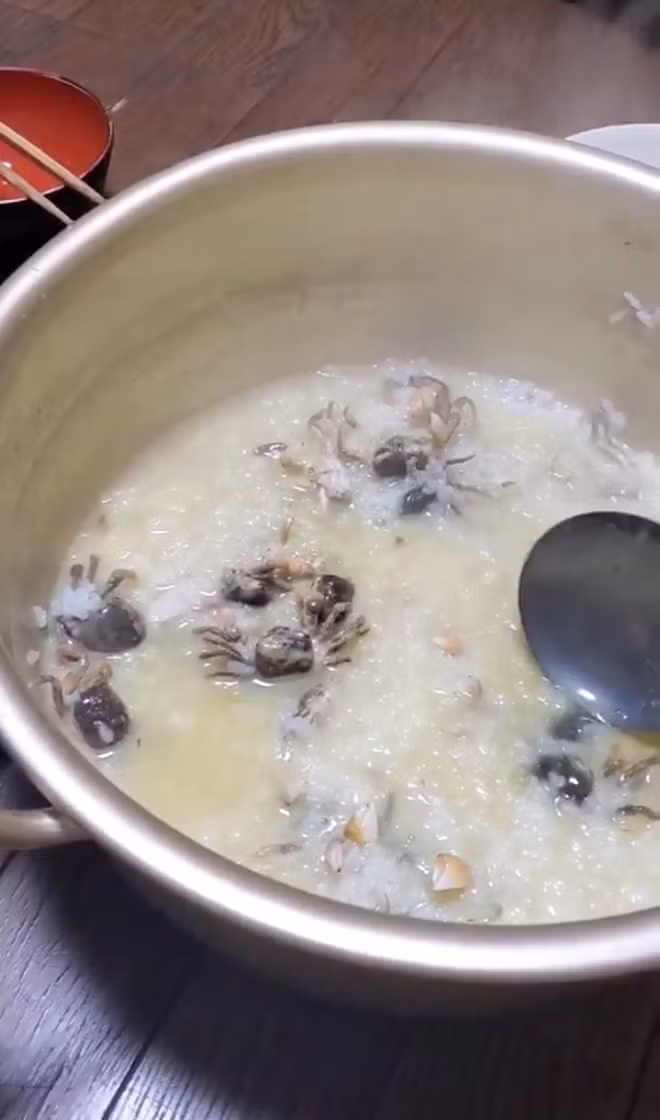 Thay vì giã nhỏ phần thịt cua, anh bạn vui tính kia… để nguyên con còn cả vỏ cho vào nồi.