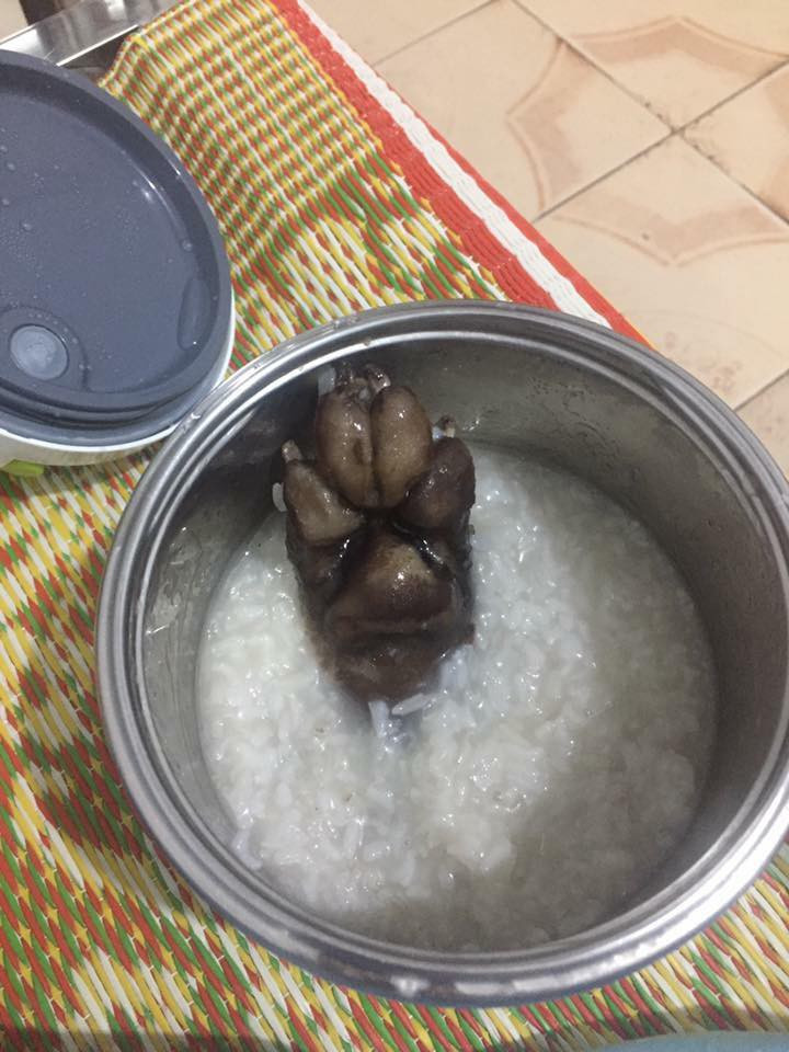 Sau khi đoạn clip ghi lại cảnh nồi cháo cua nguyên con được nấu tại Nhật được đăng tải, dân mạng để lại không ít ý kiến bình luận. Đa phần đều cho rằng, đây là một màn nấu ăn thảm họa và hy vọng rằng chủ clip không phải gặp tình trạng tương tự lần sau.