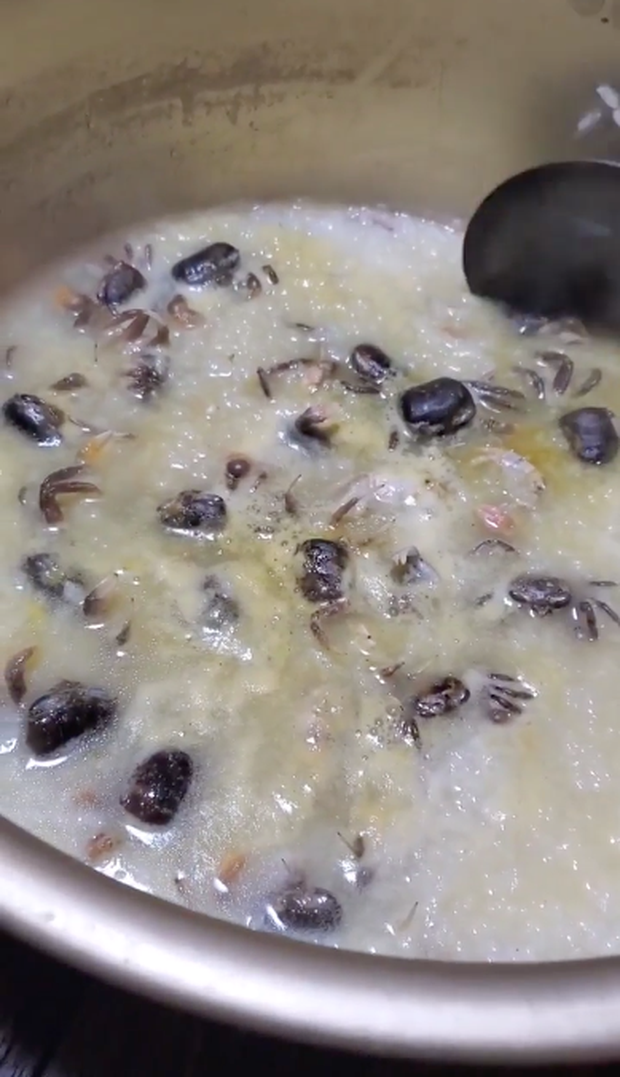 Chứng kiến nồi cháo cua nguyên con khiến, chủ nhân clip phải thốt lên: "Lần đầu tiên sang Nhật mới thấy có món cháo cua kiểu này!".