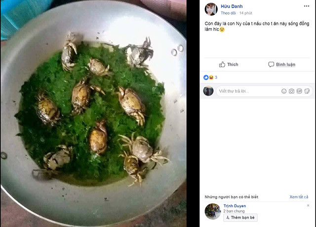 "Cháo vốn là món ăn nhẹ, cho cả con cua còn vỏ cứng thế này vào nấu cùng thì hơi sai…" hay "Bạn đó nấu nguyên con cua để gấp đôi canxi cho anh ấy mà!"... là những bình luận dân mạng để lại dưới màn nấu cháo cua nguyên con đang "làm mưa làm gió" trên mạng.