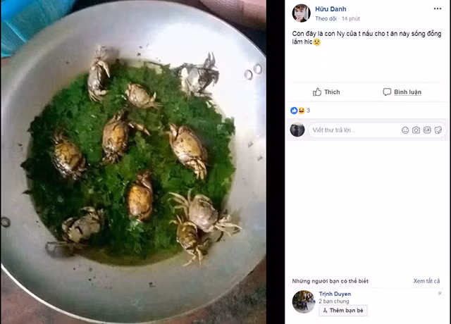 "Cháo vốn là món ăn nhẹ, cho cả con cua còn vỏ cứng thế này vào nấu cùng thì hơi sai…" hay "Bạn đó nấu nguyên con cua để gấp đôi canxi cho anh ấy mà!"... là những bình luận dân mạng để lại dưới màn nấu cháo cua nguyên con đang "làm mưa làm gió" trên mạng.