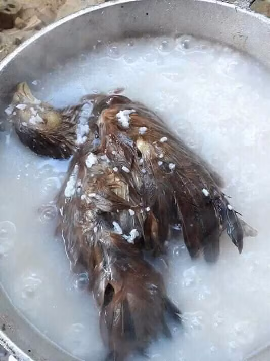 Bên cạnh đó, dân mạng cũng được dịp đăng tải những bức ảnh nồi cháo cực bá đạo từng khiến dân mạng không khỏi giật nảy mình.