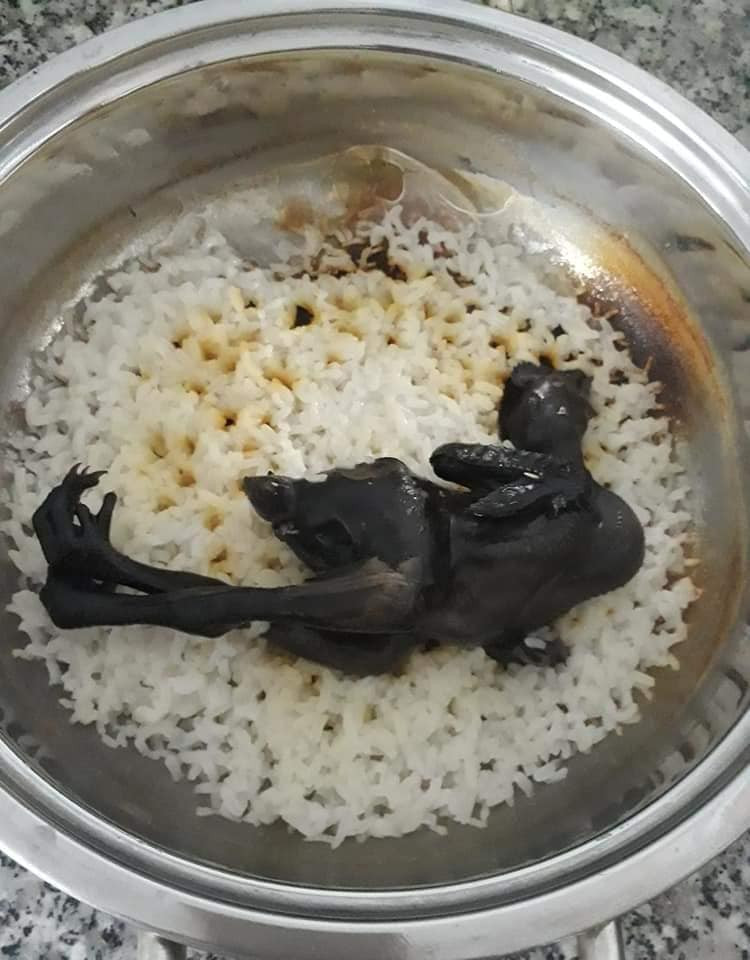 Nồi cháo chim "bóng đêm" này từng là bức ảnh được không ít dân mạng truyền tay nhau chia sẻ về sự vụng về của các gái đoảng.