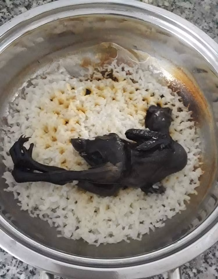 Nồi cháo chim "bóng đêm" này từng là bức ảnh được không ít dân mạng truyền tay nhau chia sẻ về sự vụng về của các gái đoảng.