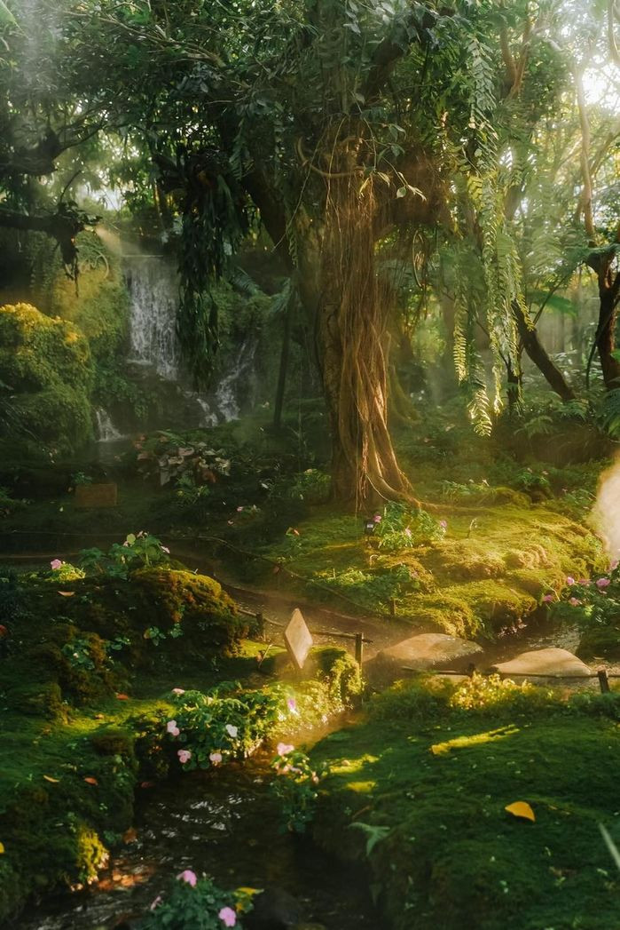 MXH sôi sục bởi quán cafe được ví như trốn thần tiên MXH soi suc boi quan cafe duoc vi nhu tron than tien