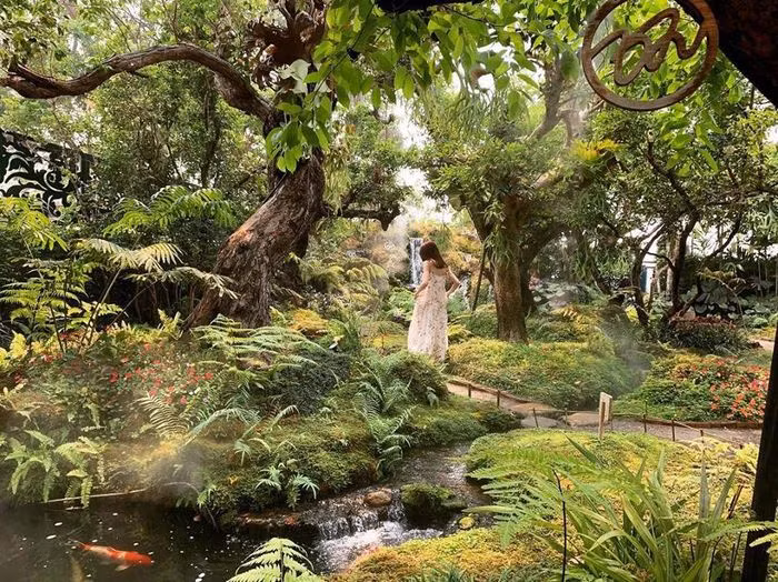 Giá nước và đồ ăn cũng ko quá cao so với mặt bằng chung, nhất là cơ hội được thưởng thức bữa ăn có sao quốc tế cũng là một trải nghiệm ko thể bỏ qua khi tới Chiang Mai.