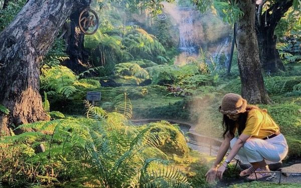 Chom Cafe and Restaurant là một trong những địa chỉ sống ảo nổi tiếng nhất Chiang Mai, thu hút một lượng lớn khách du lịch trong và ngoài nước.