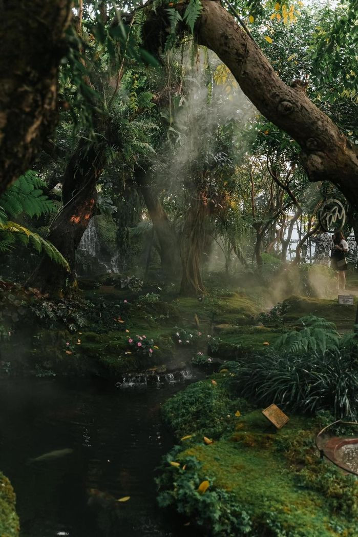 Với vị trí không xa trung tâm lắm, chỉ khoảng 16km nhưng chỉ cần đặt chân qua cửa là như bước vào một xứ sở hoàn toàn khác, một khu rừng cổ tích mơ màng dưới ánh sáng lung linh ảo diệu và dàn sương mù lúc nào cũng dày đặc.