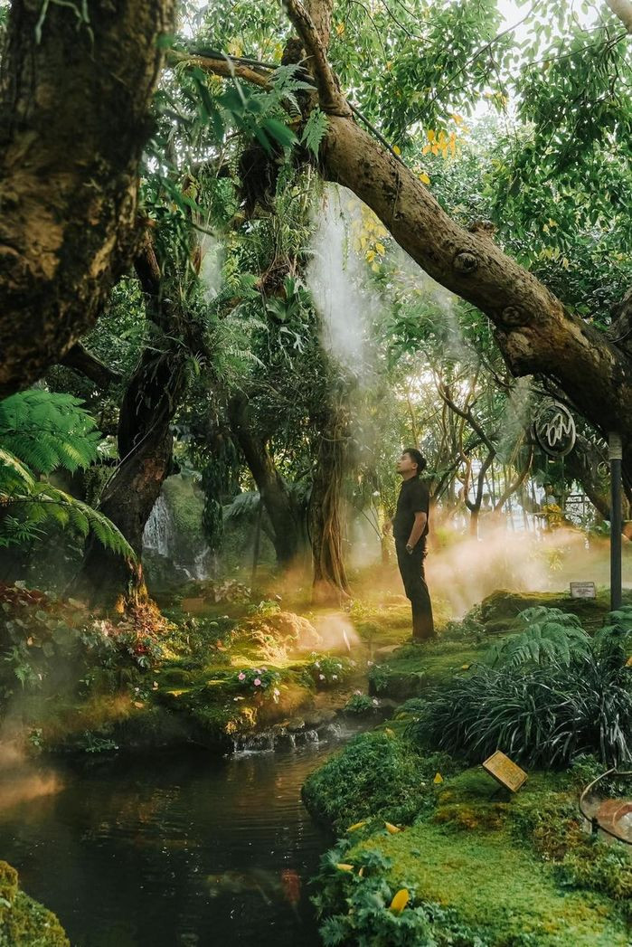 Vốn dĩ nổi tiếng với vô số quán cafe lớn nhỏ cực đẹp, Chiang Mai không hề thiếu lựa chọn để dân mê checkin trải nghiệm, vậy mà Chom vẫn nổi lên siêu hot đông bất kể giờ giấc, thậm chí là phải đặt bàn từ rất sớm, đủ chứng tỏ cho sức hút mãnh liệt của quán cafe kiêm khu vườn mùa hè, kiêm nhà hàng 1 sao Michelin này.