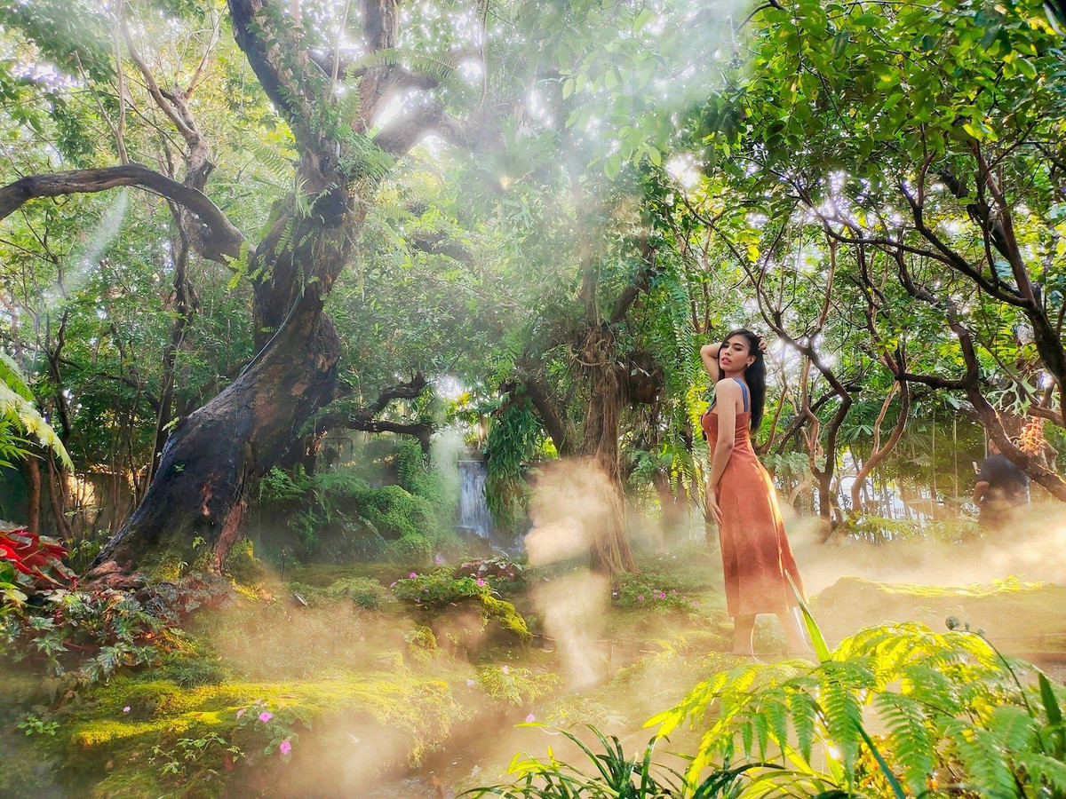 Quán được thiết kế như một khu rừng cổ tích với thác nước, bãi cỏ, dòng suối, cây xanh và hoa dại. Nên dù diện tích không lớn nhưng Chomu Cafe rất hoang sơ và rộng rãi khi chụp ảnh.