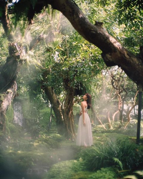 Khai trương vào năm 2019, nơi này cực nổi tiếng trên Instagram và là nơi chụp vô số bức ảnh "triệu like".