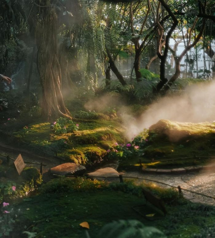 Phải nói là tài năng thiết kế của người Thái vô cùng đáng nể, cộng với sự chăm chút tỉ mỉ từng cụm rêu con suối nên tuy đã thấy hình trên mạng mình vẫn ko khỏi ngỡ ngàng vì vẻ kỳ ảo nơi đây.