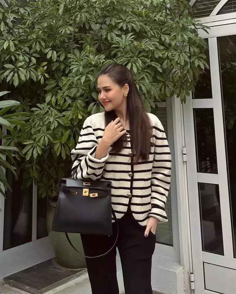 Những chiếc túi đắt đỏ chẳng kém khác Phanh Lee từng mang theo bên mình.