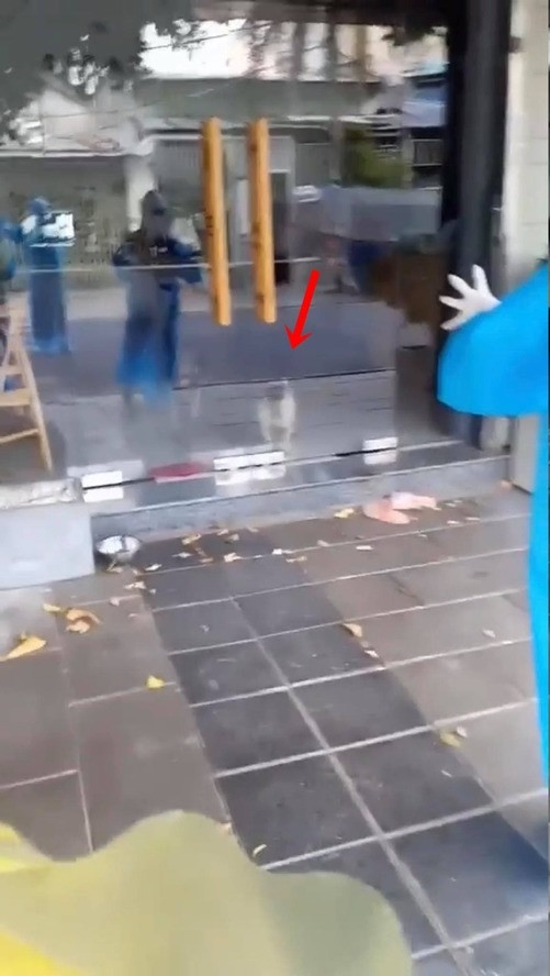 Đây không phần lần đầu tiên mà các tình nguyện viên chống dịch tuyến đầu có màn xả stress bằng việc "chọc chó".