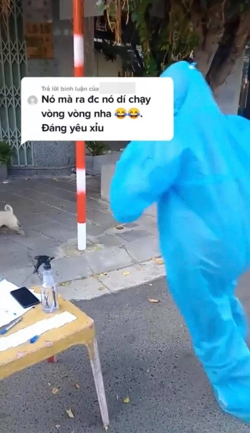 Khoảnh khắc đáng yêu này sau đó đã được rất nhiều người chia sẻ. Nhìn vẻ mặt hoang mang cùng ánh mắt “cầu cứu con sen” của chú cún, không ít cư dân mạng đã để lại bình luận hài hước .