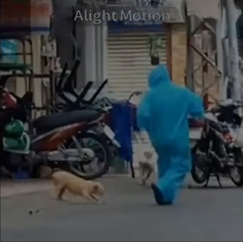 Chuyện gì đến cũng sẽ đến khi chỉ ít giây sau, nhân viên y tế chống dịch này đã phải chạy “té khói”, vừa chạy vừa nhảy cẫng lên để tránh bị “boss” đuổi.