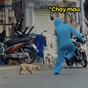 Trong khi số khác hài hước nhận định, chàng nhân viên y tế chống dịch này đã chọn cách thư giãn có phần “sai sai” vì số cún cưng này không hề hiền chút nào, sẵn sàng đuổi theo đối phương một cách nhiệt tình.