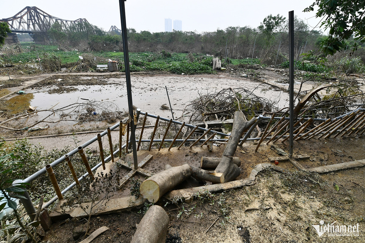 Hàng rào ngăn giữa khu bãi trồng rau với nhà dân bị nước lũ đánh xiêu vẹo.