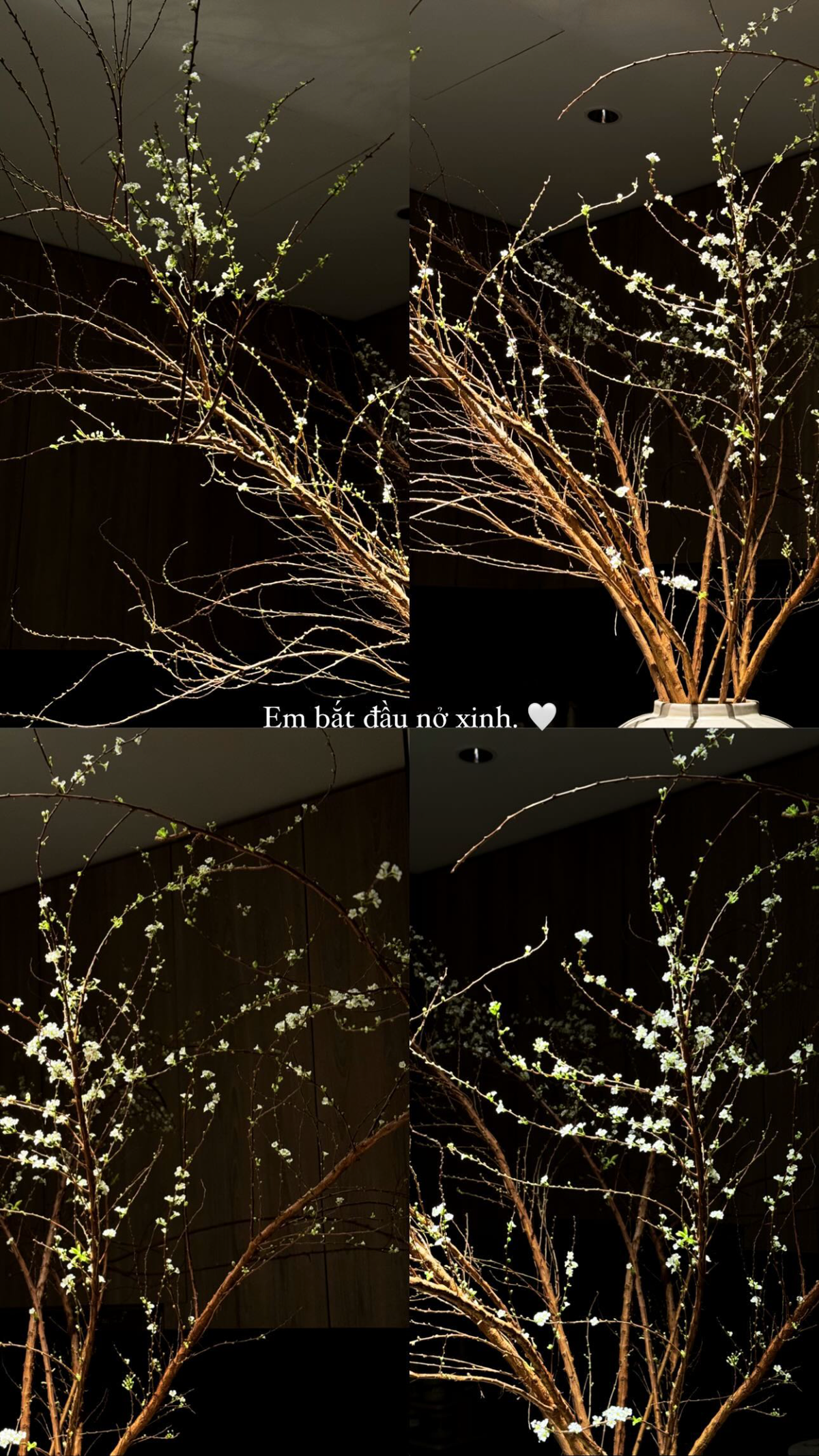 Nổi bật trong bộ đồ cực kỳ giản dị, nhan sắc ngọt ngào cùng dáng vẻ tập trung 200% sức lực của Doãn Hải My càng khiến người xem không khỏi thích thú.