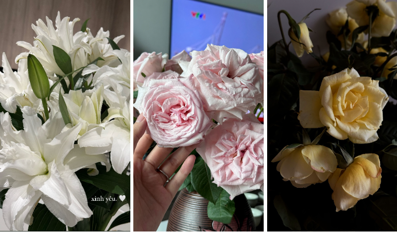 Thậm chí, dù tuyết mai được ưa chuộng nhất vào dịp Tết, nhưng trước Tết 2 tháng Doãn Hải My đã nhanh chóng rước em nó về nhà.