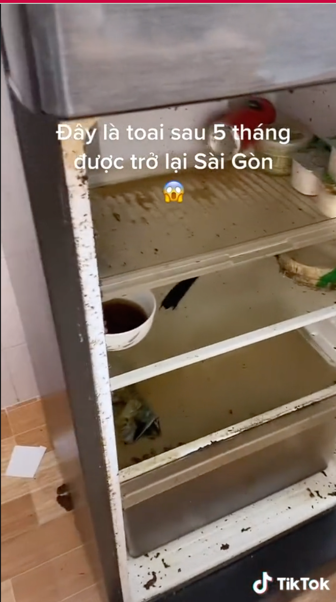 Bên dưới clip mở cánh tủ lạnh sau 5 tháng rời xa Sài Gòn, hàng loạt netizen đã vào chia phe để lại comment.