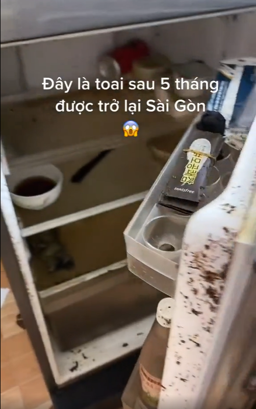 Tất nhiên, không thể đổ vấy cho chủ nhân của chiếc clip trên là người "ở dơ" được. Bởi lẽ trước khi về quê, chiếc tủ lạnh này vẫn chứa đầy ắp đồ ăn tươi ngon, chỉ là người đi đâu ngờ thời gian giãn cách xã hội lại kéo dài mấy tháng liền như thế.