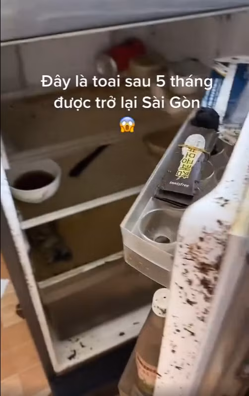 Tất nhiên, không thể đổ vấy cho chủ nhân của chiếc clip trên là người "ở dơ" được. Bởi lẽ trước khi về quê, chiếc tủ lạnh này vẫn chứa đầy ắp đồ ăn tươi ngon, chỉ là người đi đâu ngờ thời gian giãn cách xã hội lại kéo dài mấy tháng liền như thế.