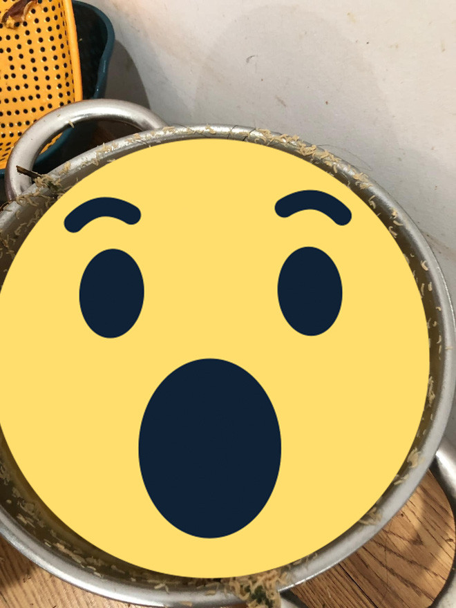 Cụ thể, theo chủ post, cô gái này xuất hiện trên trang cá nhân luôn với hình tượng xinh xắn, mua đồ không cần nhìn giá.