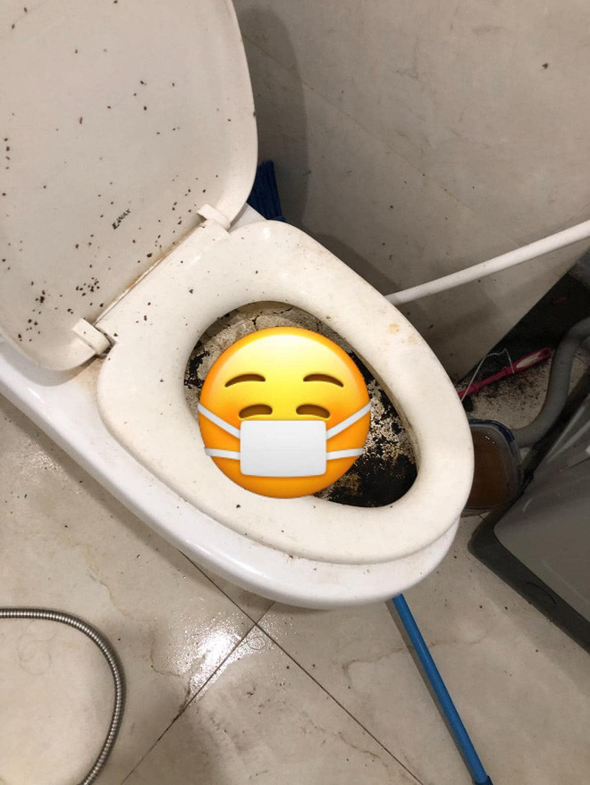 Tuy nhiên, cũng chính gái xinh này lại là người bỏ trốn và quỵt tiền phòng, tiền điện cũng như tiền sửa chữa cho chủ nhà.