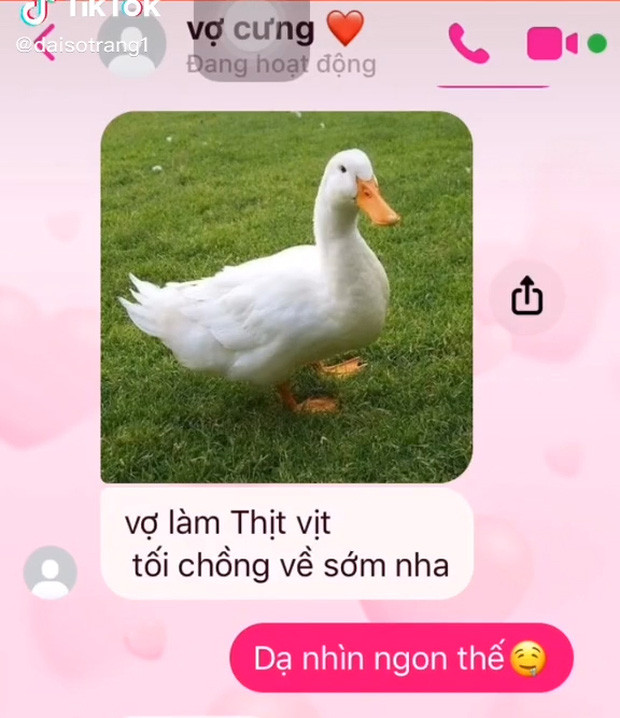 Mới đây, một anh chồng chia sẻ lên mạng câu chuyện cô vợ nhắn tin khoe sẽ làm thịt vịt cho cả nhà ăn. Các món từ vịt cũng hấp dẫn phết đấy chứ, bảo sao mà anh chồng hí hửng thế này.