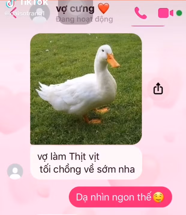 Mới đây, một anh chồng chia sẻ lên mạng câu chuyện cô vợ nhắn tin khoe sẽ làm thịt vịt cho cả nhà ăn. Các món từ vịt cũng hấp dẫn phết đấy chứ, bảo sao mà anh chồng hí hửng thế này.