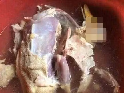 Trước đó, không ít lần dân mạng đã phải "xỉu úp, xỉu down" với màn làm thịt vịt nát bét của hội chị em.