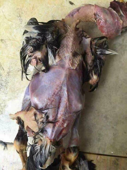 Làm vịt thế này làm sao mẹ chồng yêu thương được.