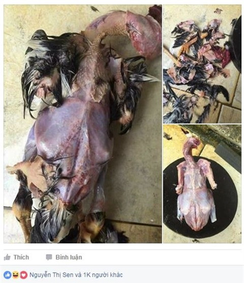 "Người ta làm vịt thì nõn nà, người yêu tôi làm thì da thịt lộn xộn"... một người đàn ông cho biết.