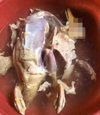 Câu chuyện trên hiện vẫn đang thu hút sự chú ý của nhiều cư dân mạng.