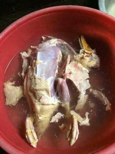 Trong trường hợp của anh chồng này thì đúng là có sốc đến "ngã ngửa" cũng không lạ, bởi kết quả làm thịt con vịt nát bét.