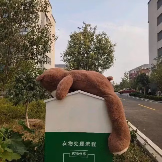 Sau khi hết thời gian đáng yêu, nhiều chú gấu bông bị chủ nhân vứt ra thùng rác. Số phận chung của chúng đều sẽ bị xé tan nát hoặc mang đi chôn cùng rác thải.