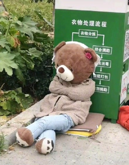 Hình ảnh chú gấu bông vô gia cư nhanh chóng nhận được sự chú ý của dân mạng. Ai cũng phải bật cười trước màn "đổi đời" của chú ta.